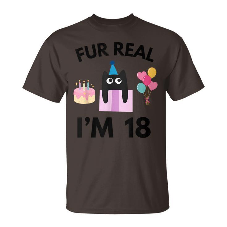 Fur Real Cat Birthday 18 Years Old Cat Lover 18Th B-Day T-Shirt
