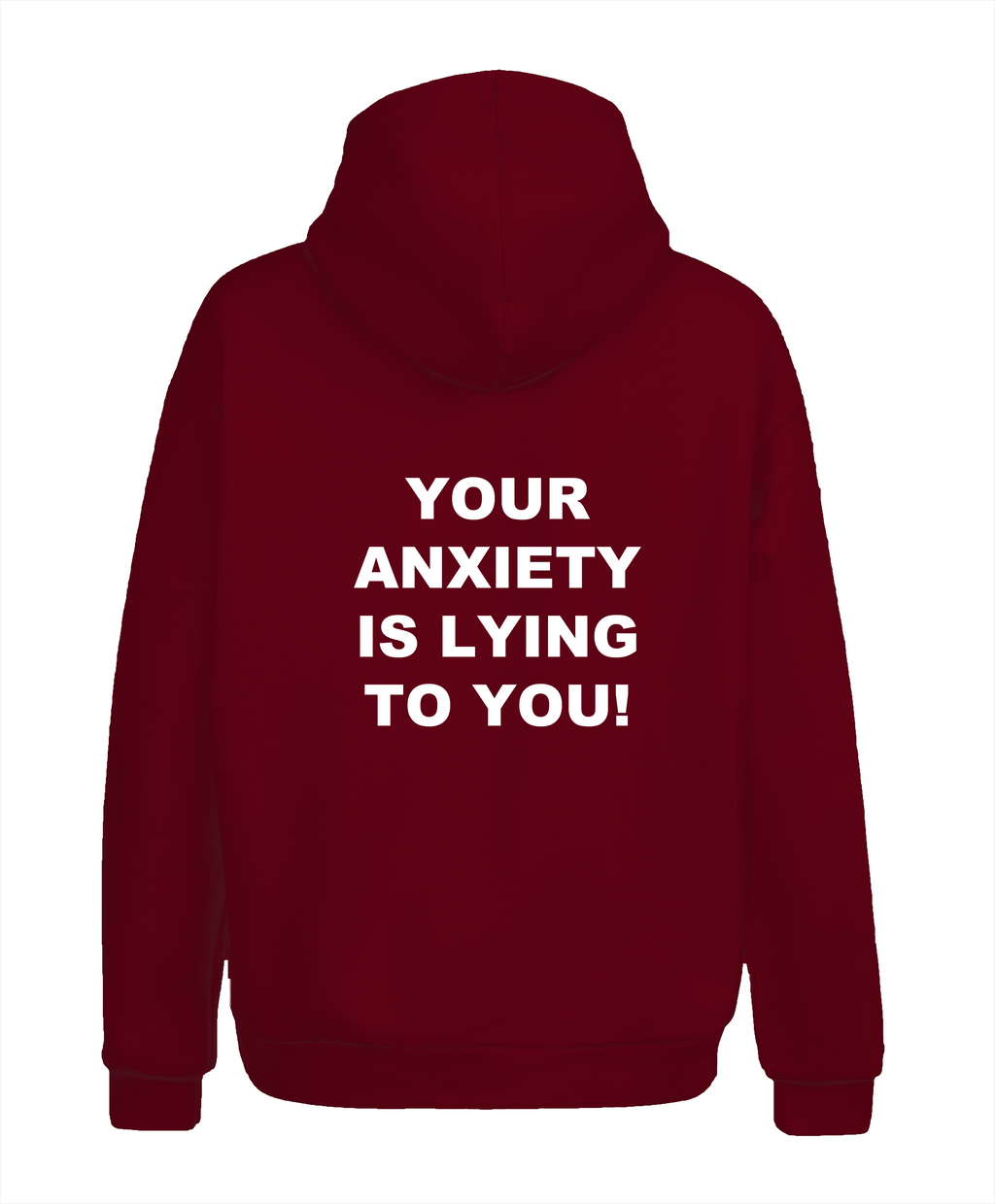 Your Anxiety Is Lying To You! Hoodie